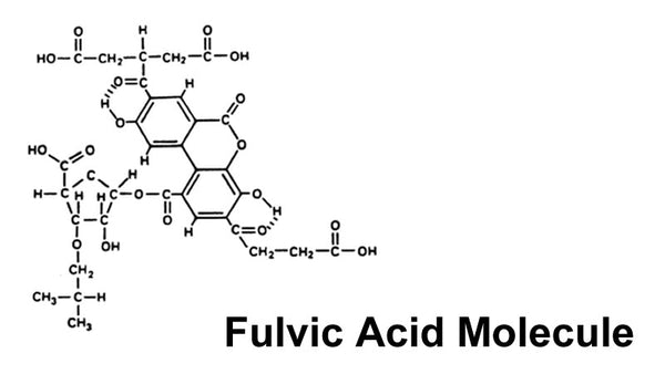 Fulvic Acid: Miracle Molecule
