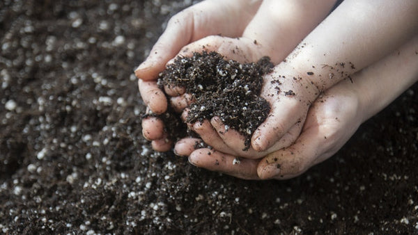 Fulvic Acid by Dr. Richard Drucker