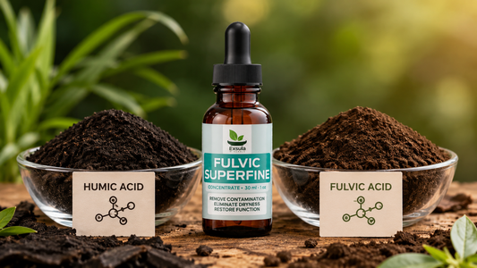 Fulvic acid and humic acid comparison with fulvic supplement and natural soil