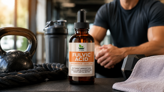 Fulvic acid supplement supporting men_s energy_ testosterone_ and recovery