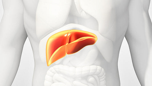 Gallbladder Disease