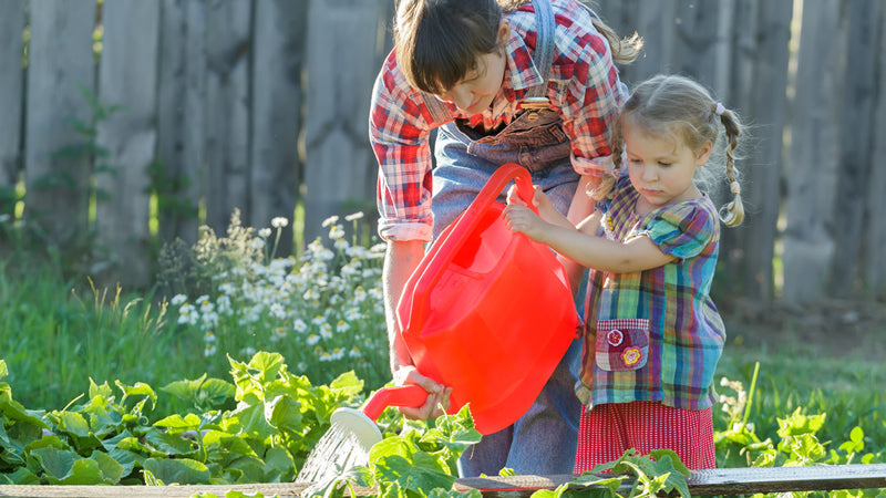 Gardening and Soil Mineralization