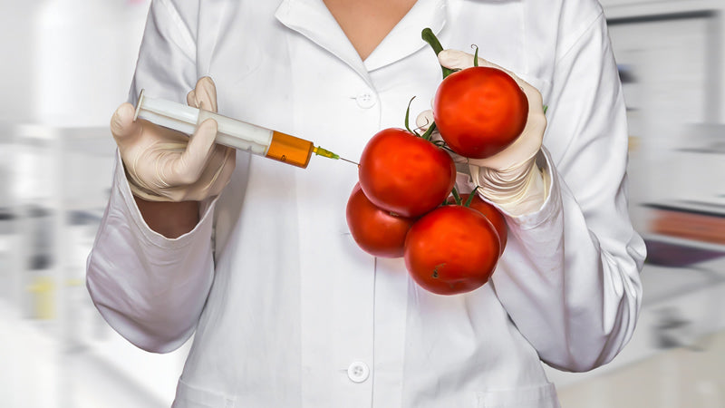 Genetically Modified Foods