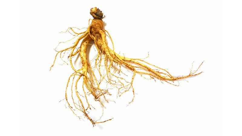Ginseng