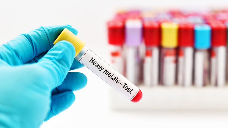 Heavy Metal Toxicity
