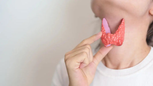 Herbs for Hyperthyroidism