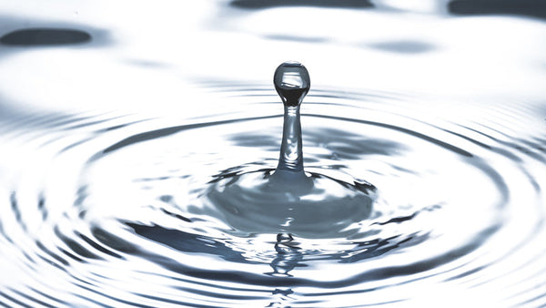 Living Water, Vital Air