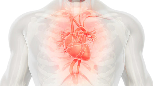 Magnesium: Evidence of Effects