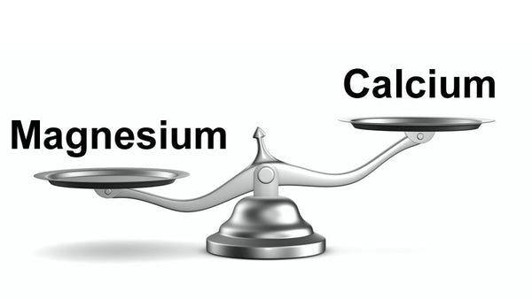 Magnesium and Calcium MUST BE Balanced