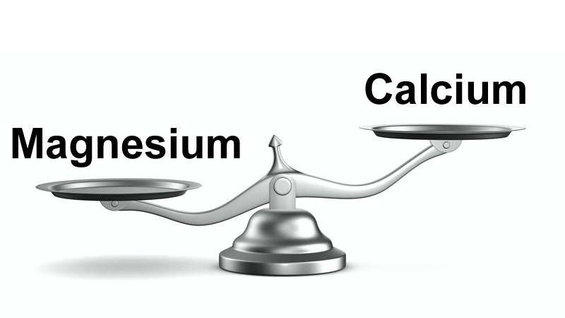Magnesium and Calcium MUST BE Balanced