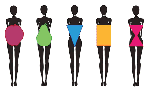 Metabolic Survey of Diabetes visual representation of body shapes and their relation to health.