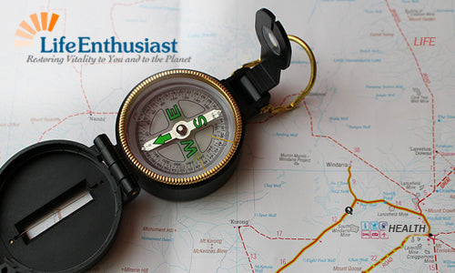 Metabolic Typing: Journey to Wellness