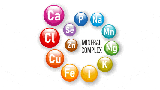 Mineral Supplements are Necessary for Health