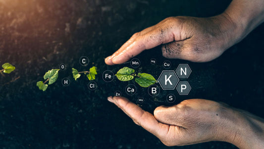 Minerals from Arsenic to Zinc