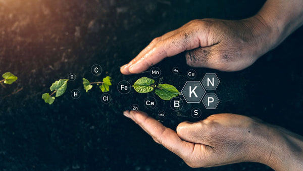 Minerals from Arsenic to Zinc