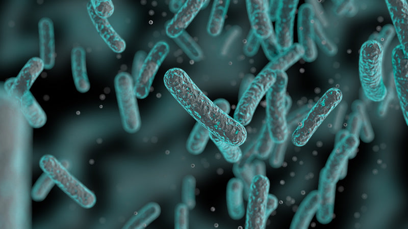 Mycoplasma: Linking Pathogen