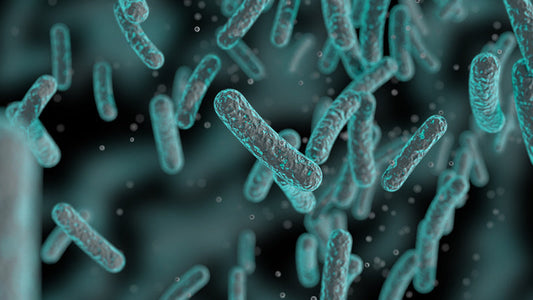 Mycoplasma: Linking Pathogen