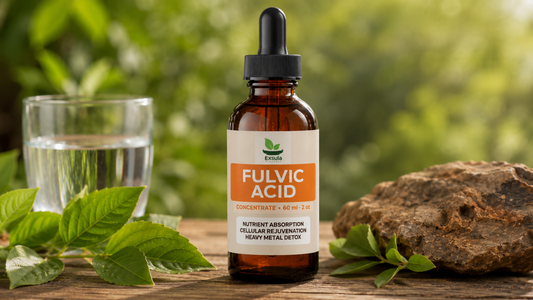 Natural fulvic acid supplement supporting nutrient absorption and overall wellness