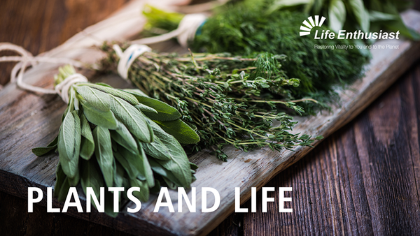 Podcast 347: Plants and Life