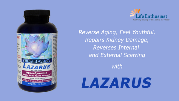 Podcast 356: Lazarus