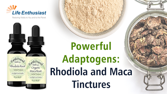Podcast 376: Rhodiola Root and Maca Root