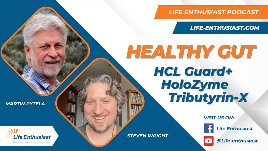 Podcast episode discussing Healthy Gut with Martin Pytela and Steven Wright for Life Enthusiast