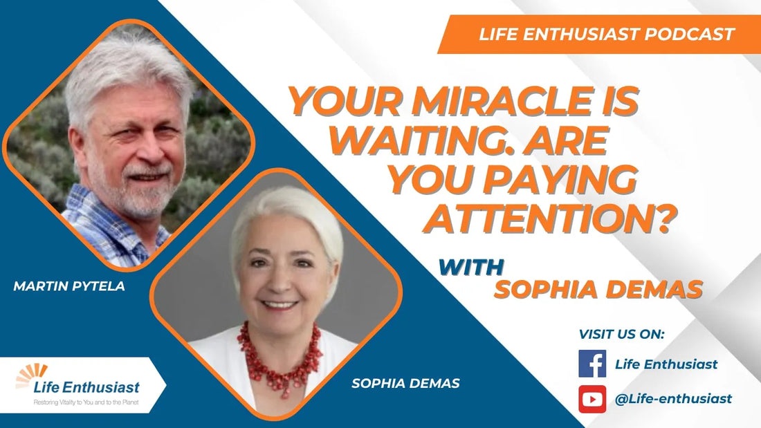 Podcast 517: Exploring Divine Intelligence and Meaningful Coincidences