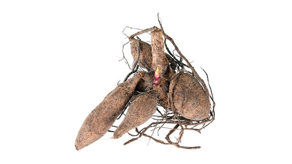 Prebiotic Inulin by Martin Pytela