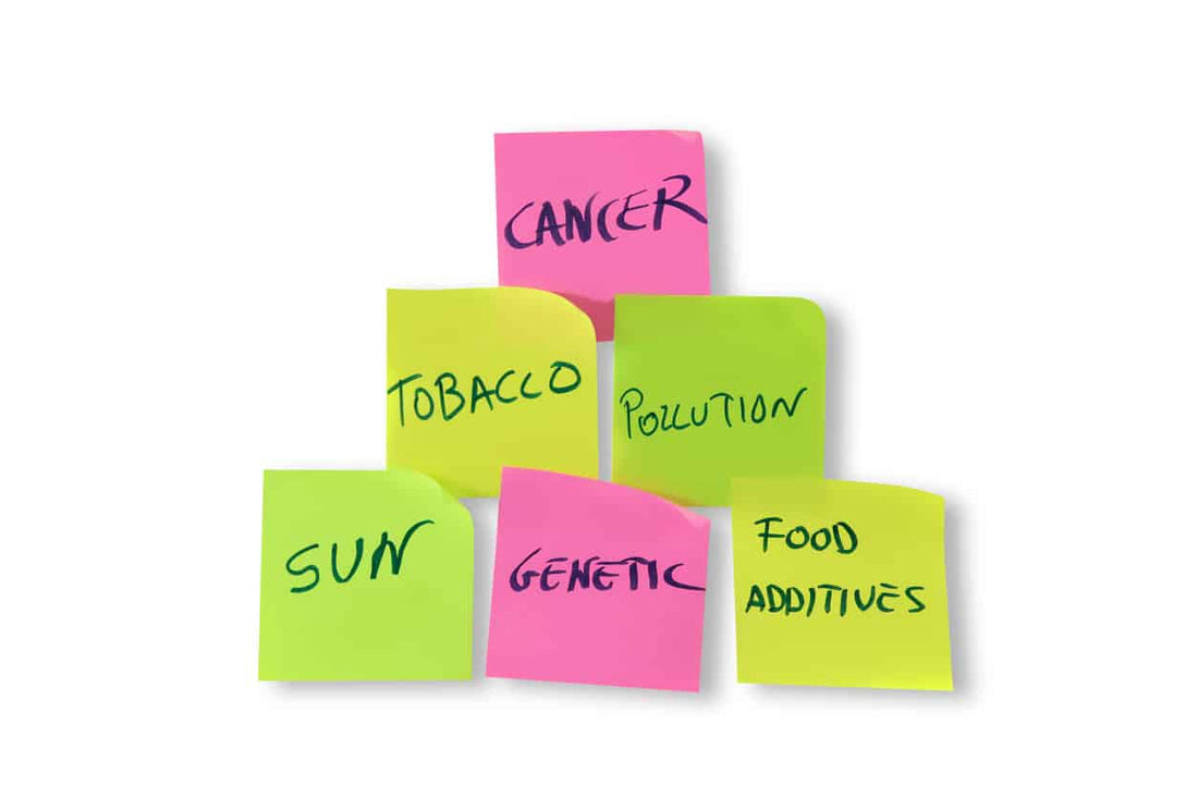 Prime Cause and Prevention of Cancer