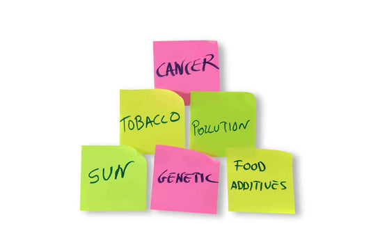 Prime Cause and Prevention of Cancer