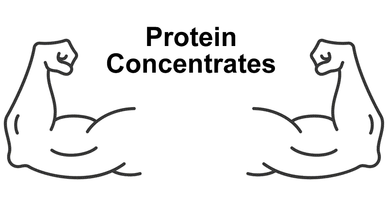 Protein Helps Fat Loss and Muscle Building with strong muscular arms illustration.