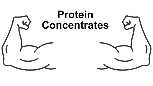 Protein Helps Fat Loss and Muscle Building with strong muscular arms illustration.