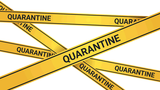 Quarantine Used to Contain Measles