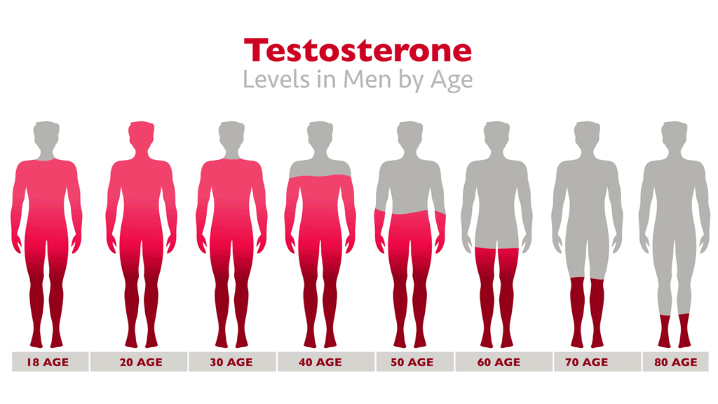 Testosterone