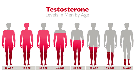 Testosterone