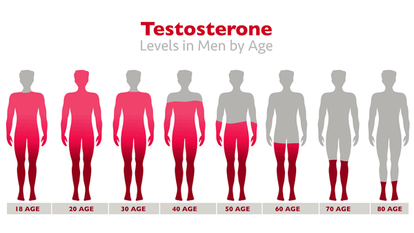 Testosterone