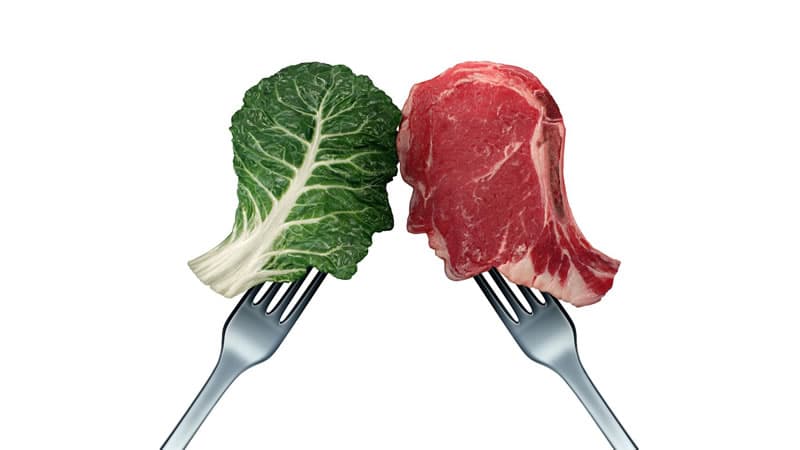 The Confusion of Vegetarianism depicted with a leaf and steak on forks.