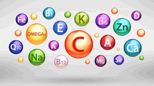 Vitamins and Minerals Overview with colorful nutrient icons representing essential vitamins and minerals.
