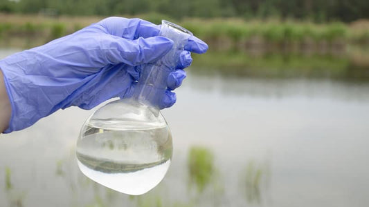 Hand holding a flask of clear water by a lake, focusing on water quality and testing for nutrients vs contaminants.