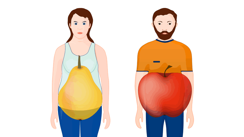 Illustration showing a woman and man with fruit shapes representing body types related to Weight Loss and Metabolic Syndrome.