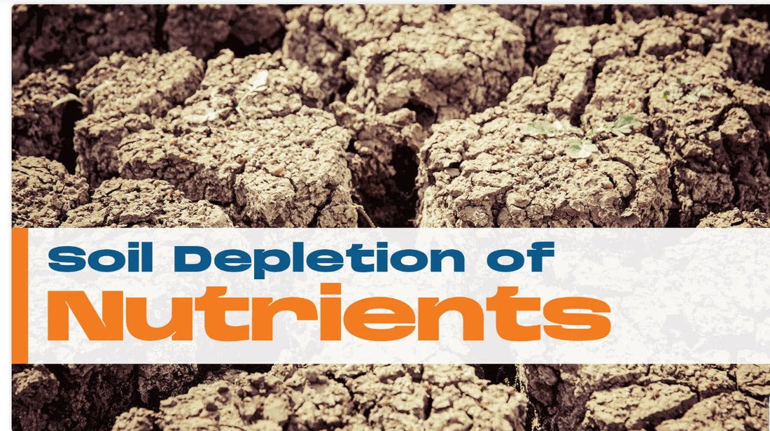 Soil Depletion of Nutrients