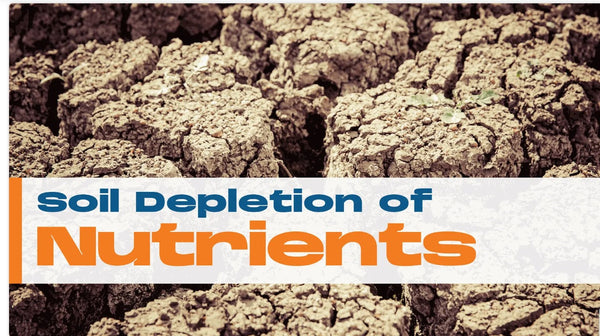 Soil Depletion of Nutrients