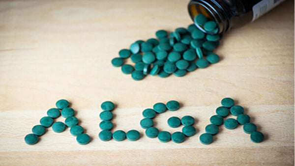 E3Live Algae Experts' Endorsements