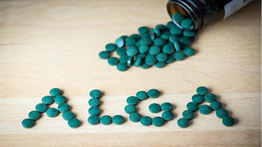 E3Live Algae Experts endorsements with green algae tablets spelling ALGA on a wooden surface.