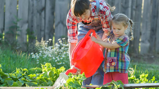 Gardening and Soil Mineralization: parent and child watering plants in a vibrant garden.