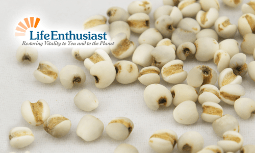 Close-up of Job's Tears seeds scattered on white surface, showcasing their natural texture.