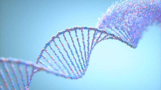 Visual representation of DNA highlighting the role of Oxidative Stress and its Integrative Mechanism in genetics.