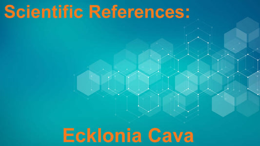 Image showcasing Scientific References: Ecklonia Cava with a modern design and hexagonal patterns in the background.
