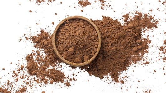 Chuchuhuasi powder in a round bowl surrounded by loose powder on a white background.