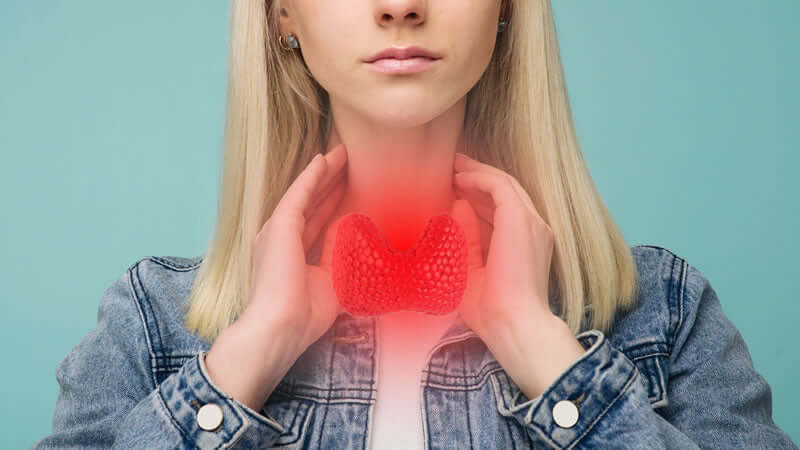 Thyroid Gland